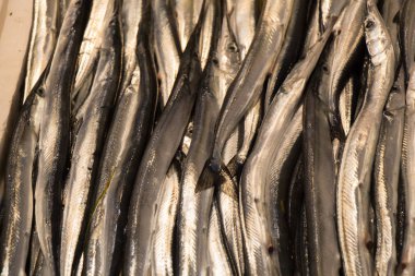 Taze balık pazarında Satılık