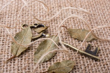 Retro altın renk anahtarlarını tarz