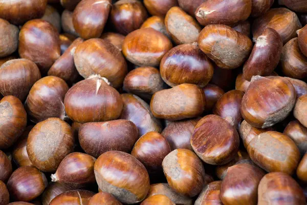 Heap de castanha para fundo de comida de outono — Fotografia de Stock