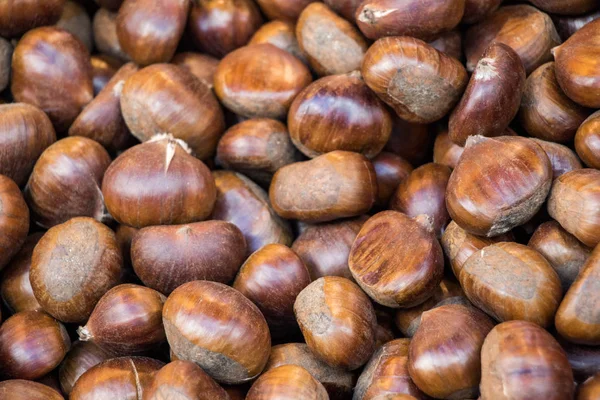 Heap de castanha para fundo de comida de outono — Fotografia de Stock