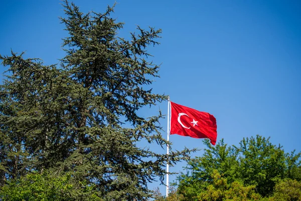 土耳其国旗在视图中 — 图库照片