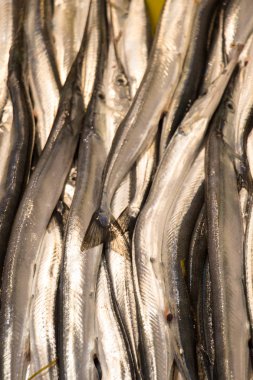 Taze balık pazarında Satılık