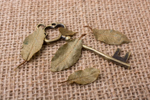 Retro altın renk anahtarlarını tarz