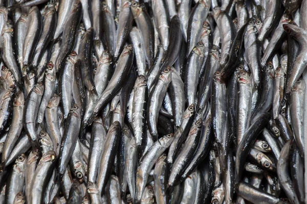 Taze balık pazarında Satılık — Stok fotoğraf