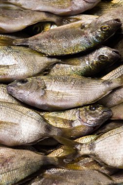 Taze balık pazarında Satılık