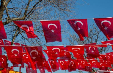 Türk ulusal bayrak görünümünde