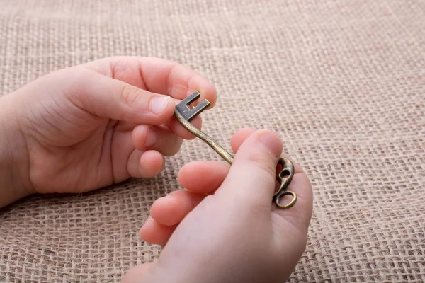 Bir retro tarz tuşunu basılı tutarak el 