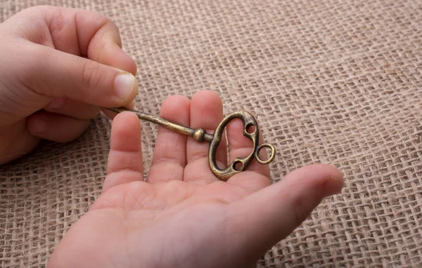 Bir retro tarz tuşunu basılı tutarak el 