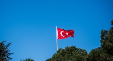 Türk ulusal bayrak görünümünde