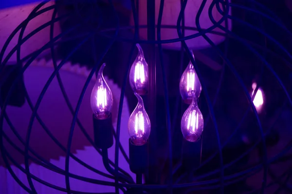 Ampoules décoratives style filament — Photo