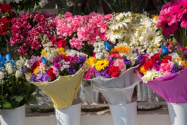 Colorful blooming   flowers in vase — Stock Photo, Image