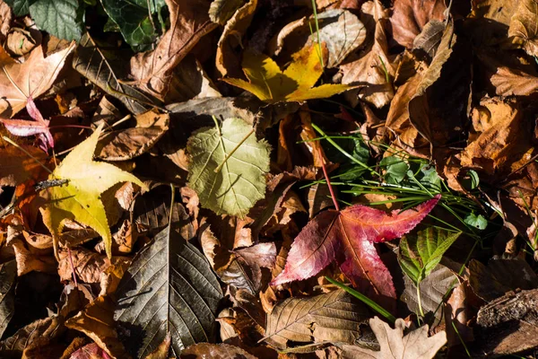 Belirli doku deseninin arka plan