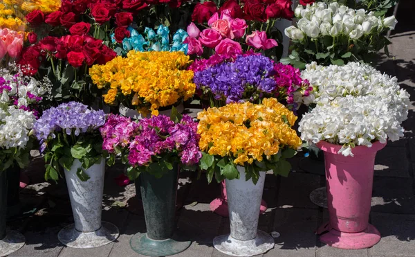 Svěží barevné květiny do vázy — Stock fotografie