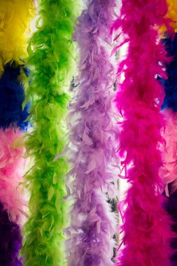 Güzel kuş tüyleri dekoratif amaçlar için