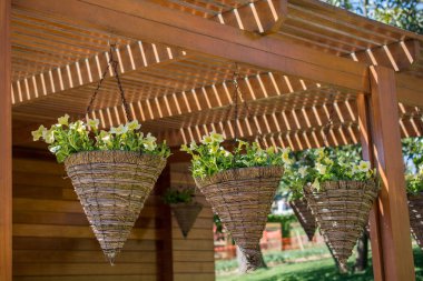 Taze renkli çiçek vazo içinde koymak