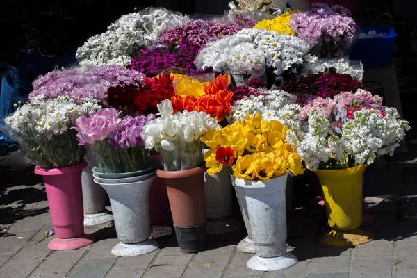 Свіжі барвисті квіти, покладені у вази — стокове фото