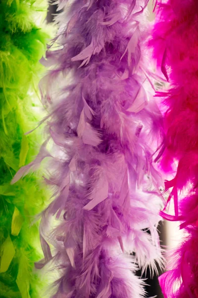 Beautiful bird feathers for decorative aims — Stock Photo, Image