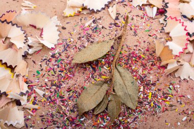 Yaprakları renk kalem traş çöp ortasında Kuru