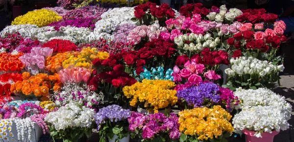 Frische bunte Blumen in Vasen legen — Stockfoto