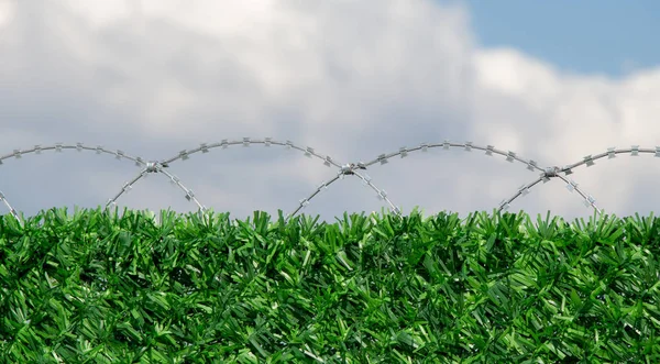 Barbed wire fence  for protection purposes of a pproperty — Stock Photo, Image