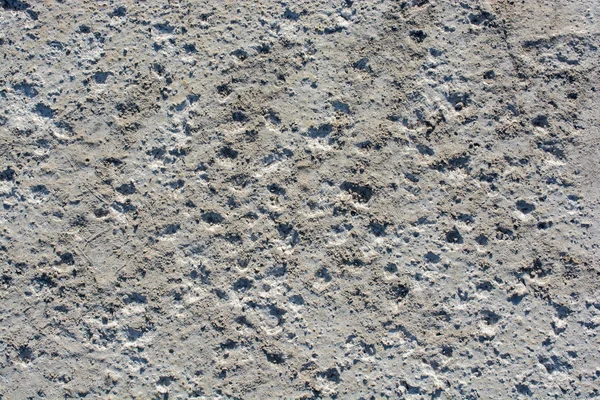 Patronen op vers gegoten beton oppervlak — Stockfoto