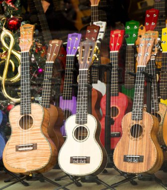 Renkli klasik gitar modelleri kümesi 