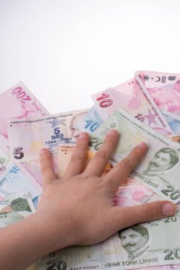Turksh Lirası banknot elinde tutan el