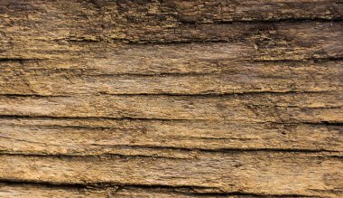 arka plan doku olarak ahşap yüzey 