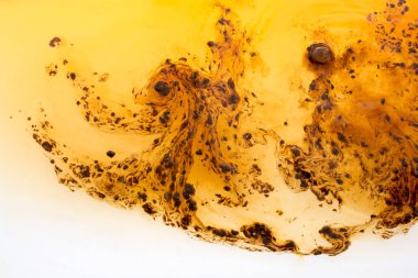 Kahve sıcak suda çözülür