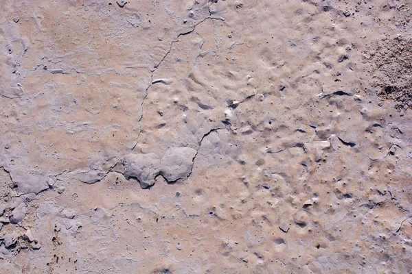 Muster auf frisch gegossener Betonoberfläche — Stockfoto