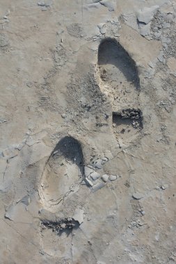 Ayak sesi desen bir beton zemin üzerine
