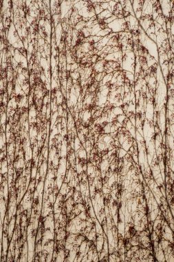 Doku arka planını kendi elemanları ile sonbahar sezon