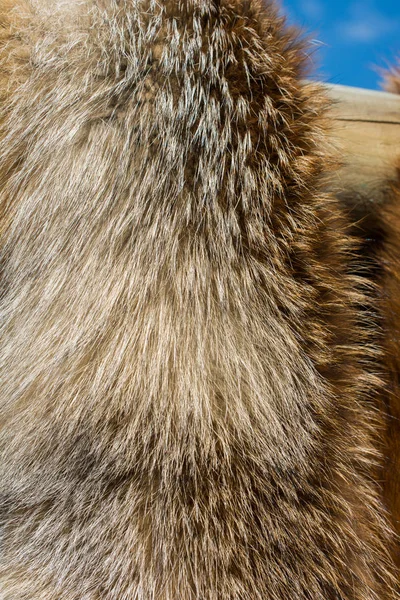 Decorative animal  fur as a background — Stock Photo, Image