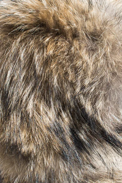 Decorative animal  fur as a background — Stock Photo, Image