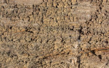 arka plan doku olarak ahşap yüzey 