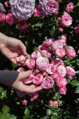 Elindeki güzel taze güller