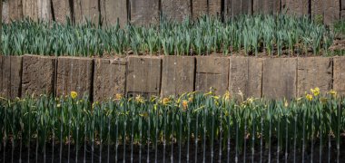 Ahşap bir çit parçası