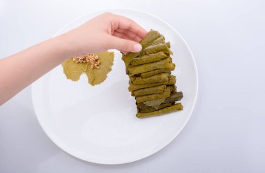Türk tarzı dolma yaprak 