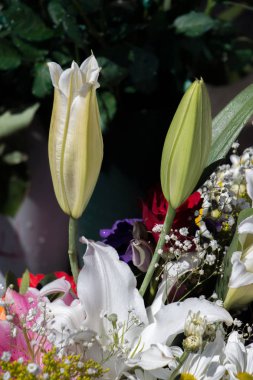 Taze renkli çiçek vazo içinde koymak