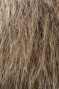 Arka plan olarak dekoratif hayvan kürk 