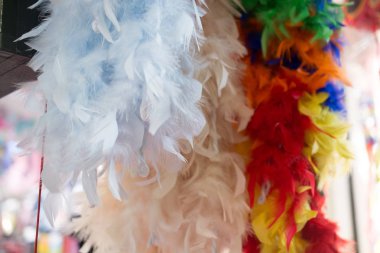 Güzel kuş tüyleri dekoratif amaçlar için