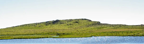 Rumput hijau di dekat kolam — Stok Foto