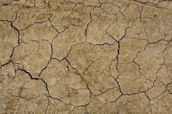 Soil surface as a background texture — Stock Photo, Image