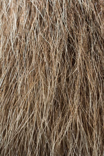 Arka plan olarak dekoratif hayvan kürk 