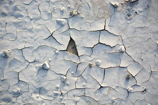 Patterns on freshly poured concrete surface