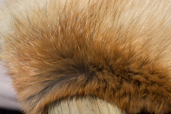 Decorative animal  fur as a background — Stock Photo, Image