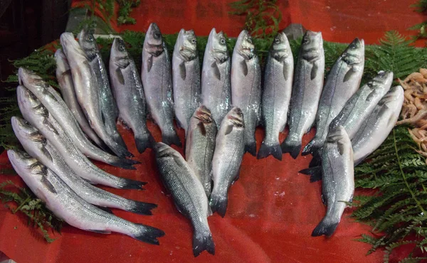 Fresco per la vendita al mercato del pesce — Foto Stock