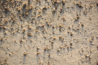 Kalıpları üzerinde taze beton yüzeyine dökülür