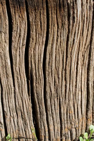 Wood texture with natural patterns — Stock Photo, Image
