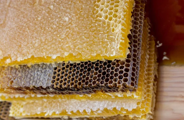 Zoete Verse Honing Het Verzegelde Kam Frame — Stockfoto